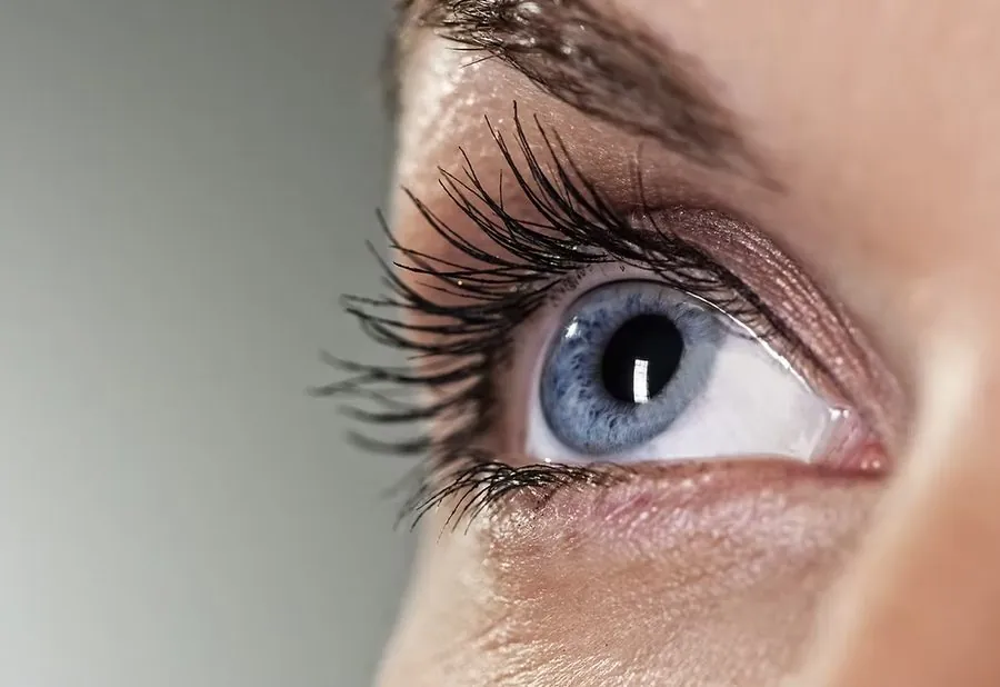 Close-up of a healthy human eye